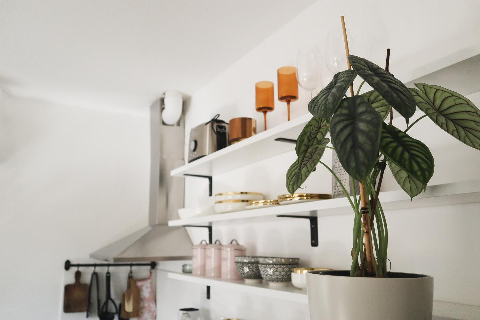 Urban Jungle Apartment - Free Parking Lublana Zewnętrze zdjęcie