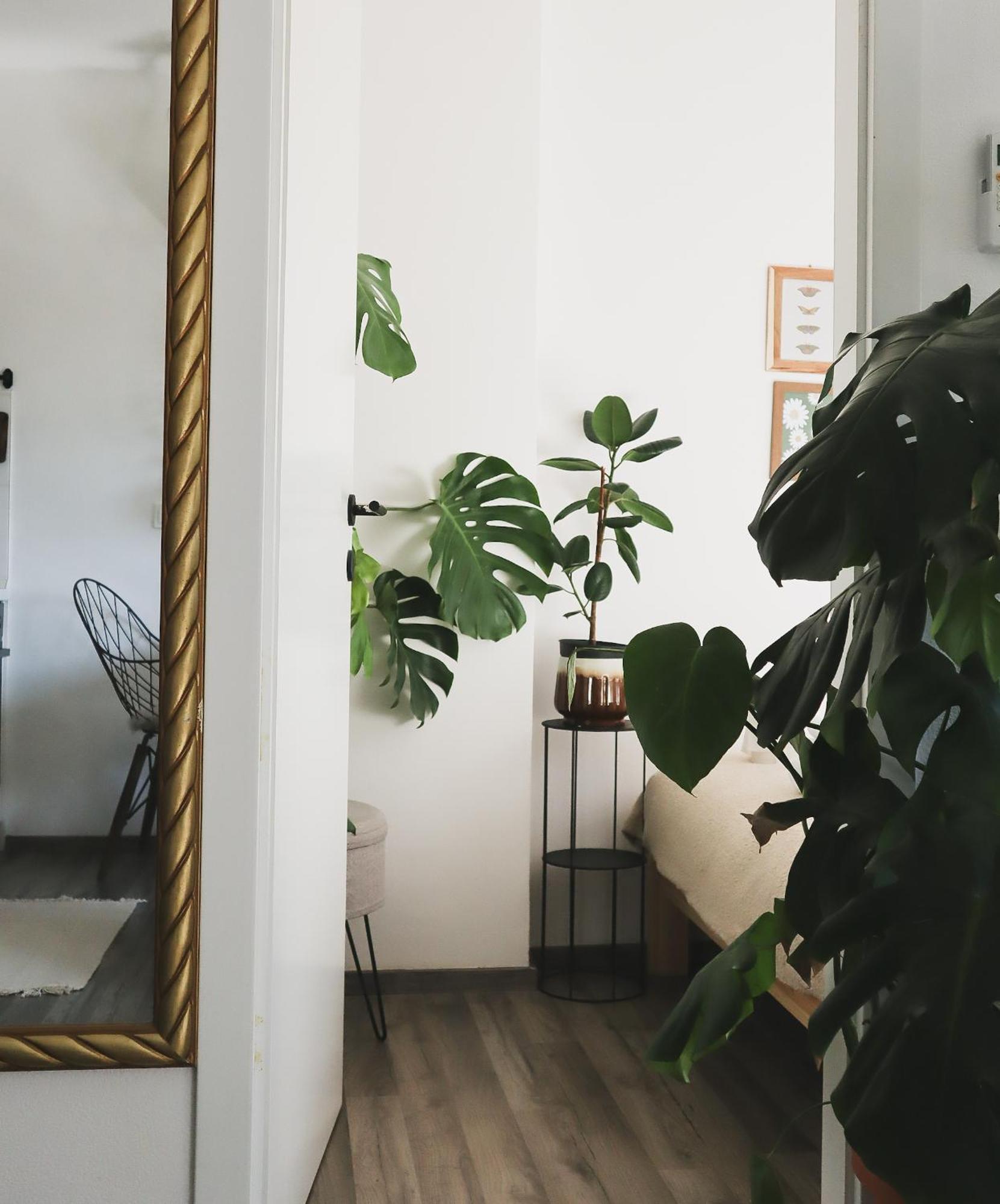 Urban Jungle Apartment - Free Parking Lublana Zewnętrze zdjęcie